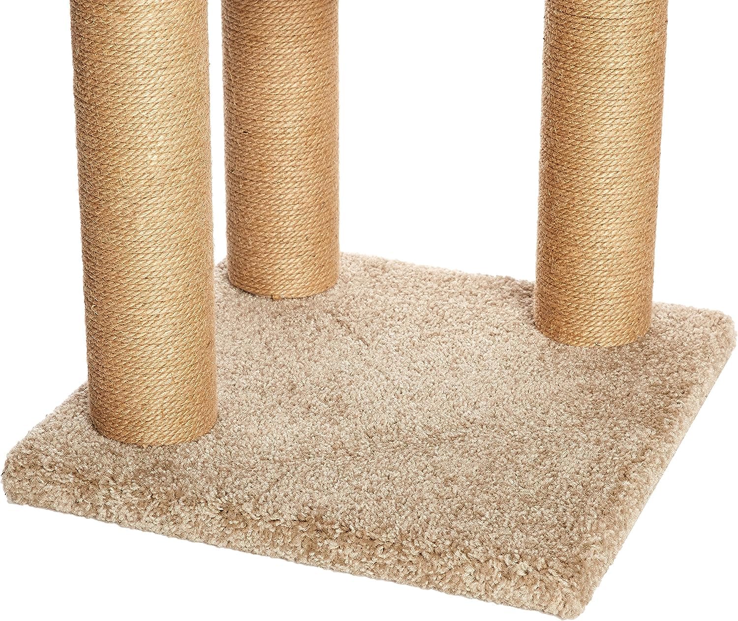 Hauteur environ 80 cm pour une présence adaptée à l’intérieur.