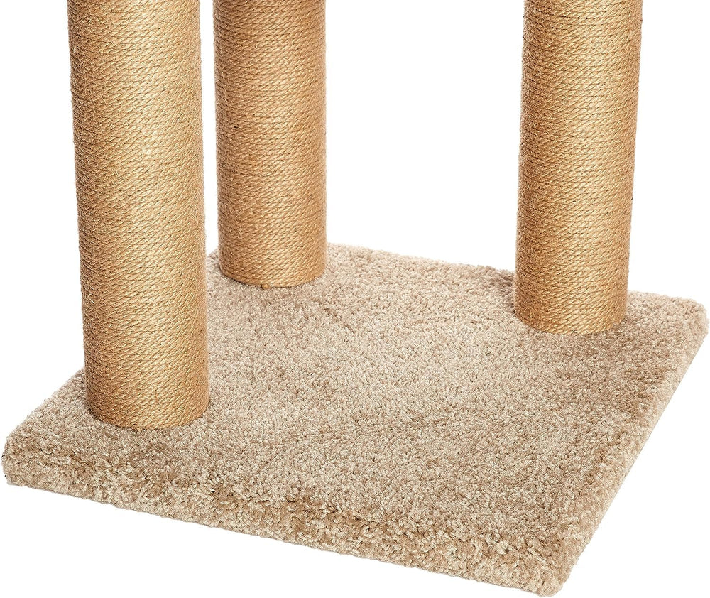 Hauteur environ 80 cm pour une présence adaptée à l’intérieur.
