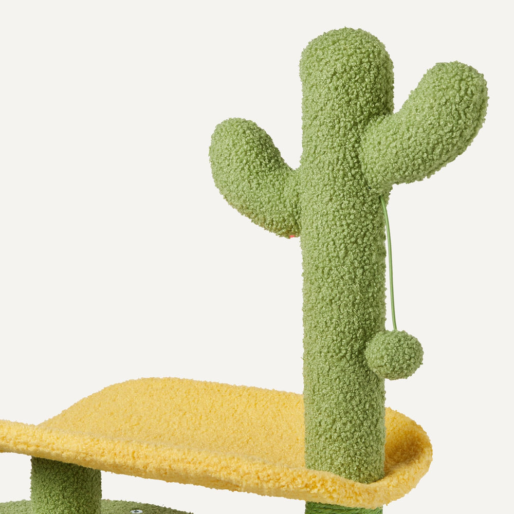 Amazon Basics arbre chat perchoir courbe, endroit optimal pour observer et se détendre.