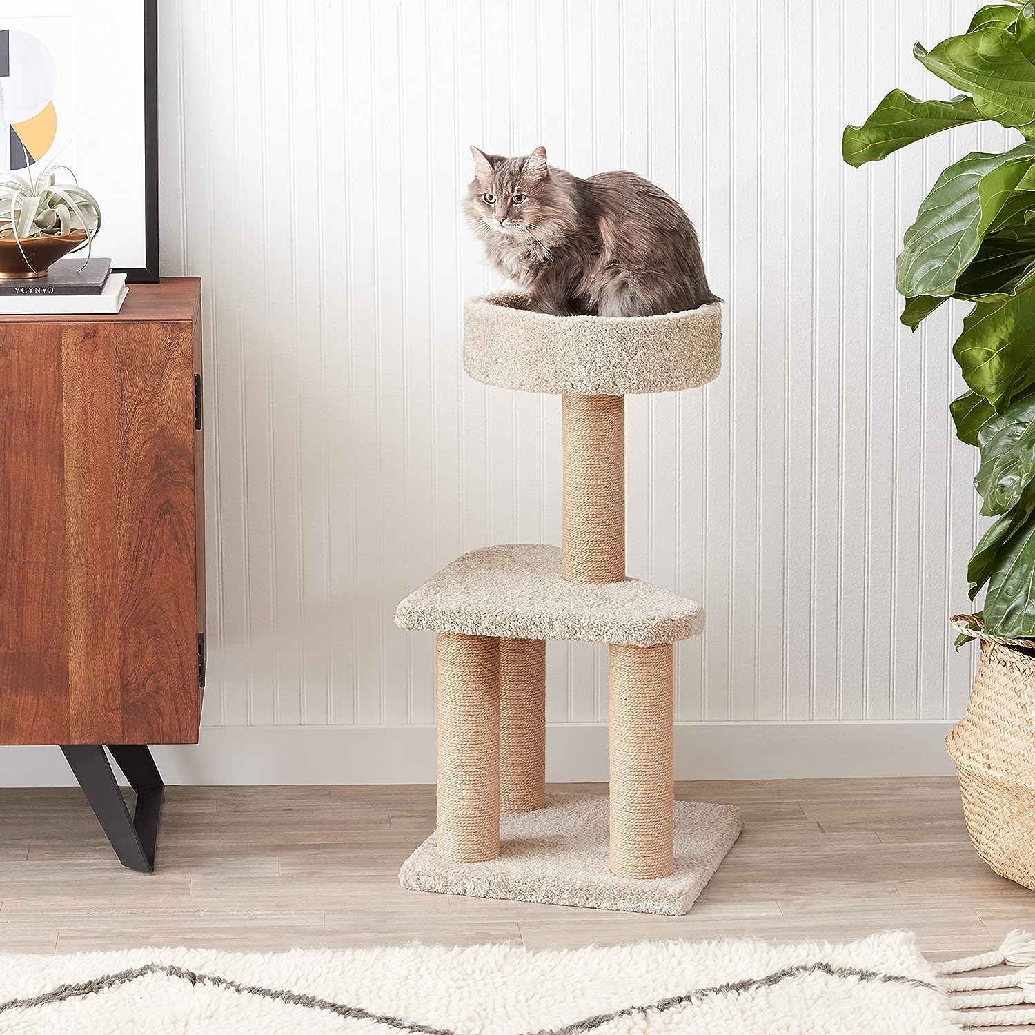 Plateau supérieur arrondi avec rebord, parfait comme lit d’appoint.