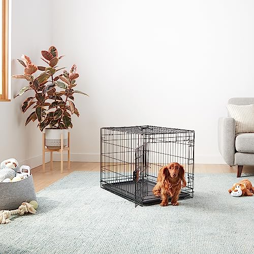 Base plastique amovible d'Amazon Basics pour nettoyage rapide.
