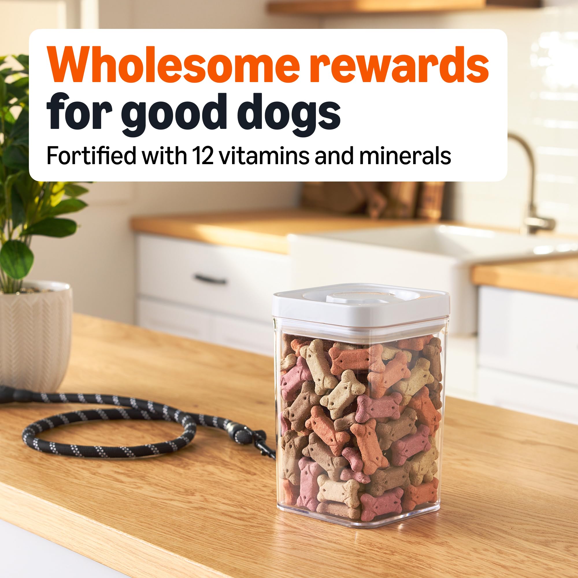 Biscuits Amazon Basics pour dents et haleine plus fraiche lors du partage