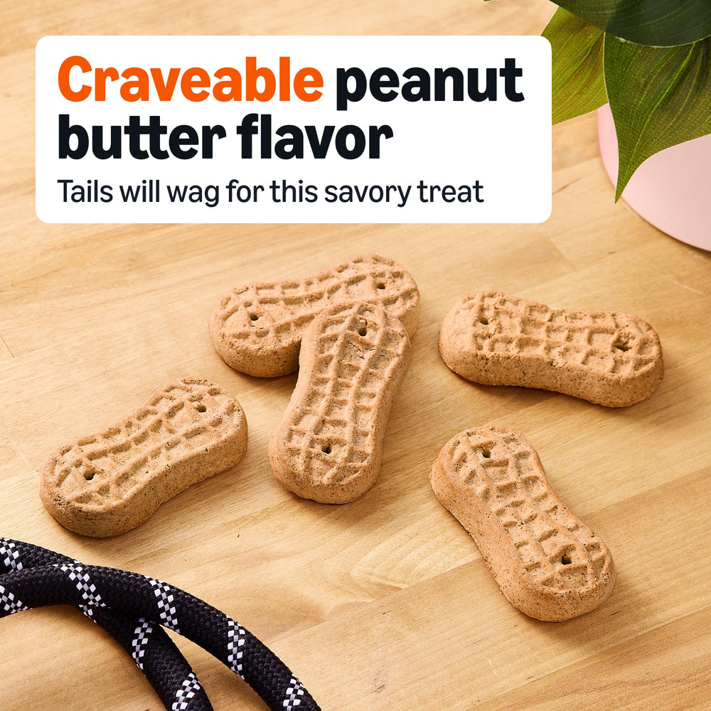Friandises Amazon Basics pour chien, texture croquante parfaite pour l'entraînement.