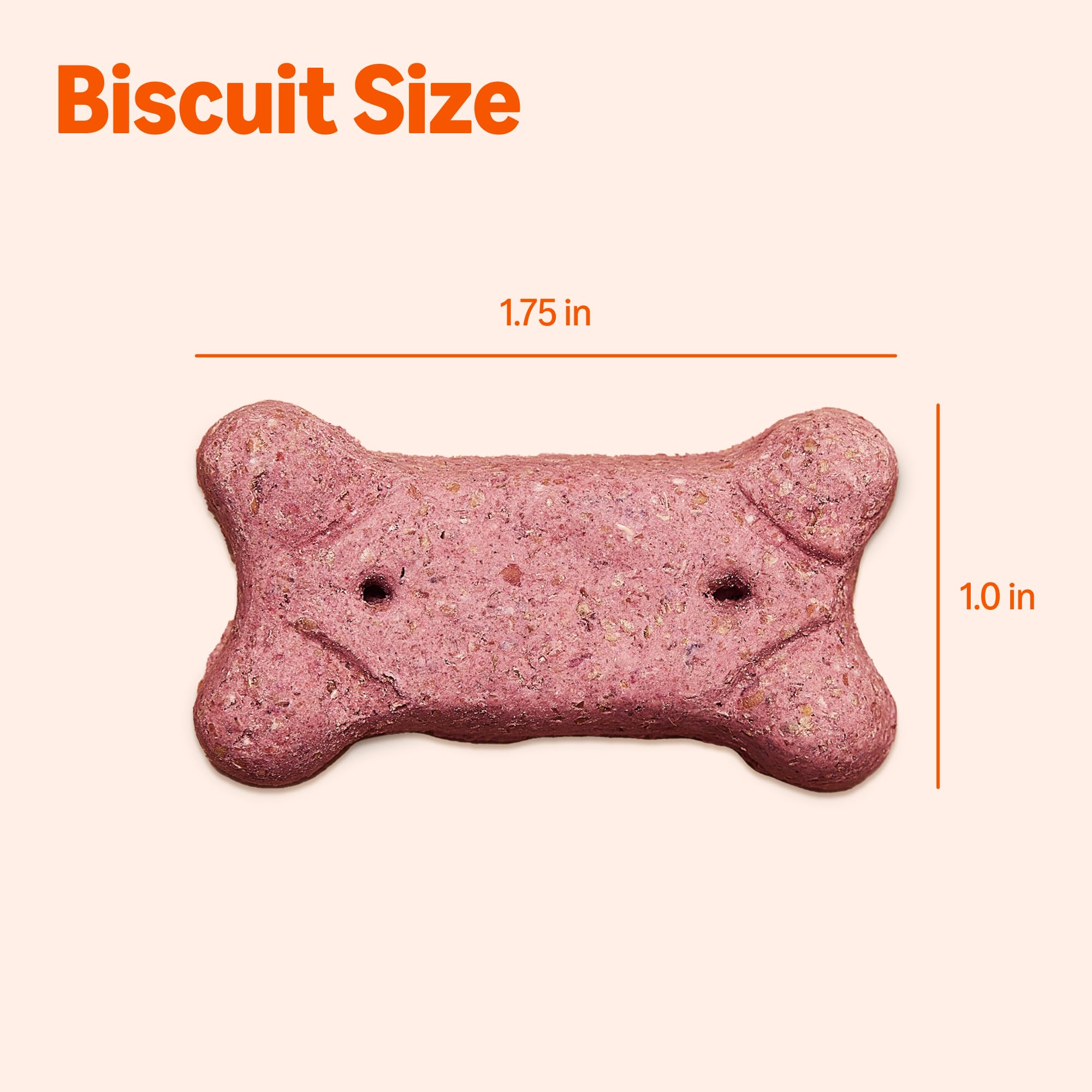 Biscuit Amazon Basics saveurs préférées pour varier les plaisirs canins