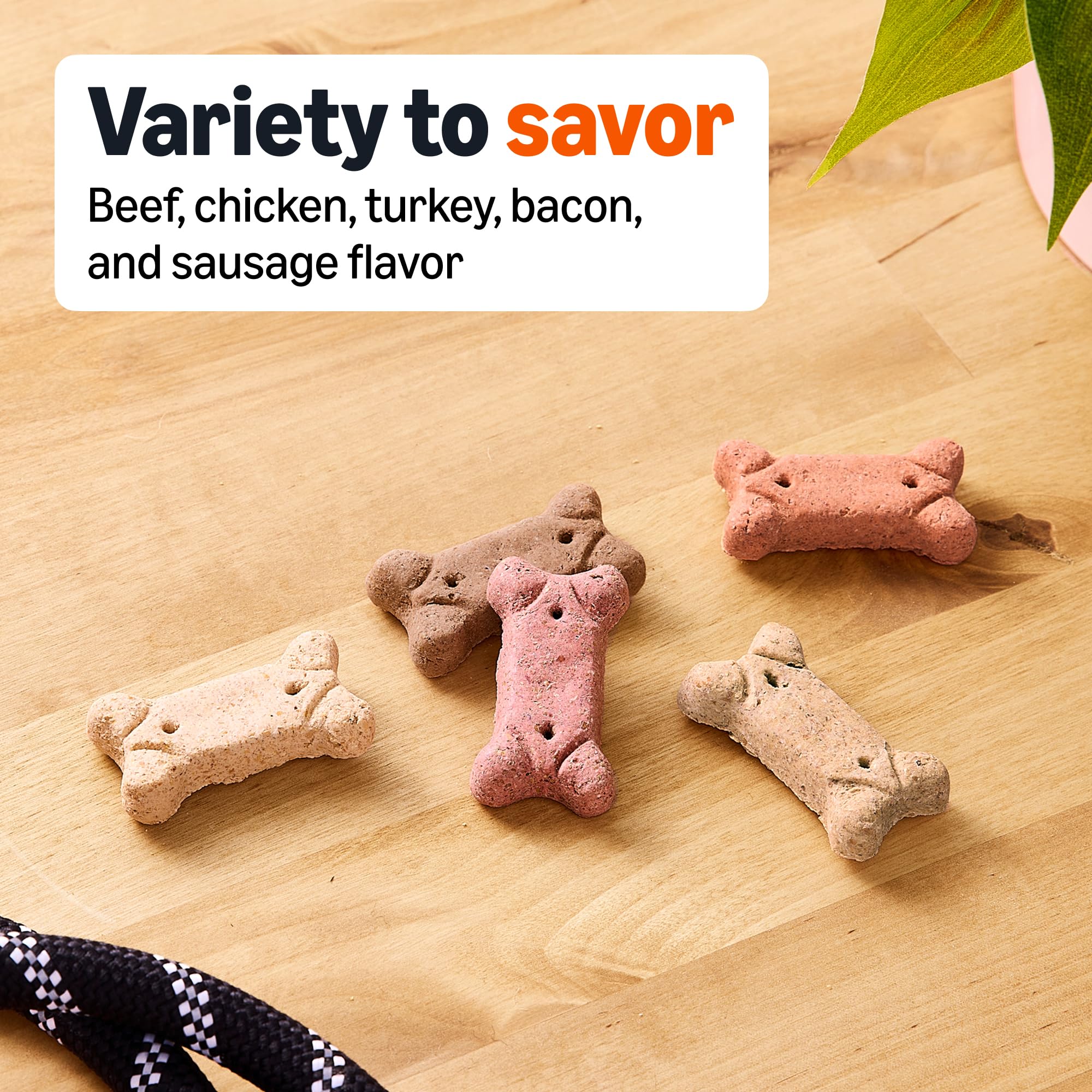 Gros plan sur biscuits croquants pour chien de Amazon Basics