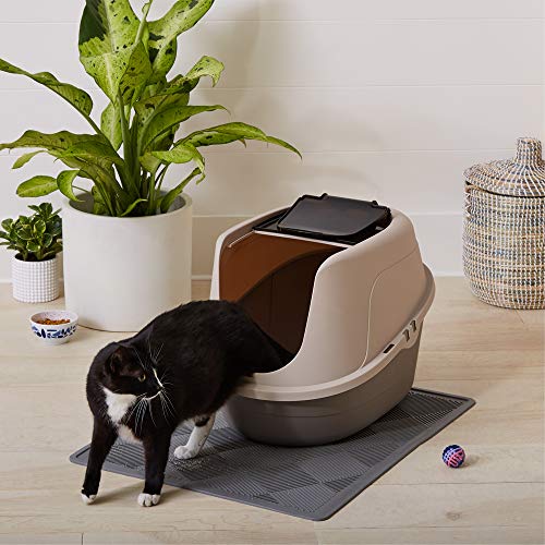 Entretien simple avec couvercle et récipient amovible Amazon Basics.