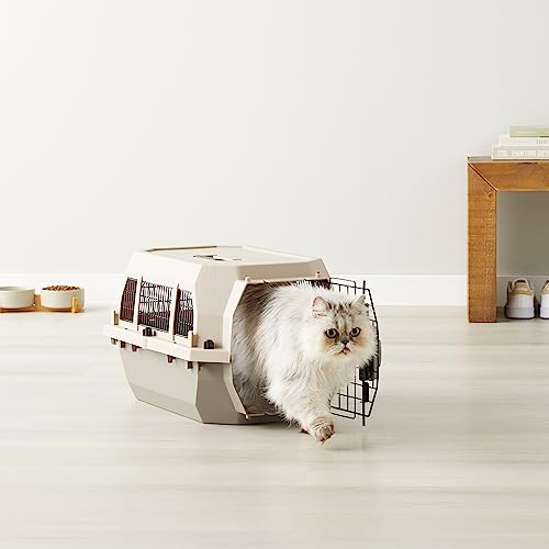 Couleur beige discrète Amazon Basics, design pratique pour le transport quotidien