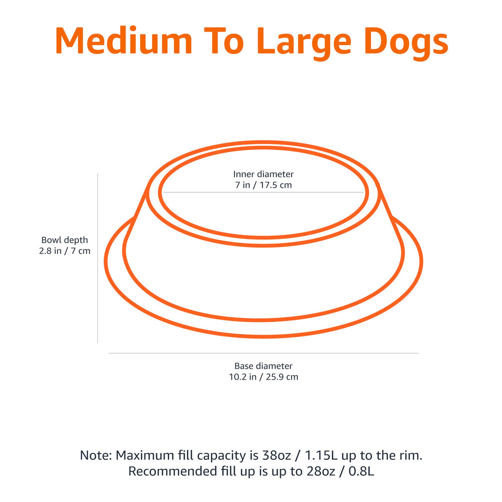 Bol Amazon Basics en inox pour chiens jusqu’à 38 onces, repas et eau.