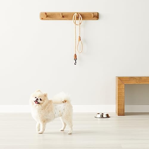 Le chien sur l’image porte la taille XS pour référence.