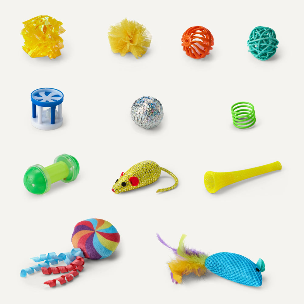 Amazon Basics Chat: ensemble d'accessoires ludiques pour divers jeux.