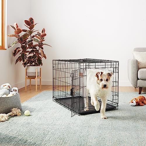 Dimensions 36x23x25 du chenil Amazon Basics pour plusieurs races