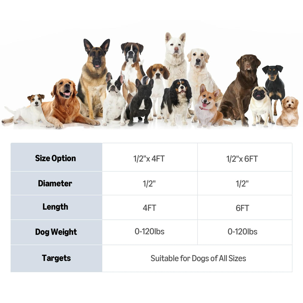 Laisse Amazon Basics adaptée à toutes les tailles de chiens pour une utilisation polyvalente.
