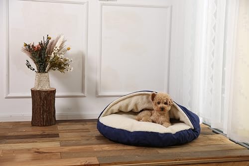 Cave-dortoir Amazon Basics bleu, espace privé propice au repos