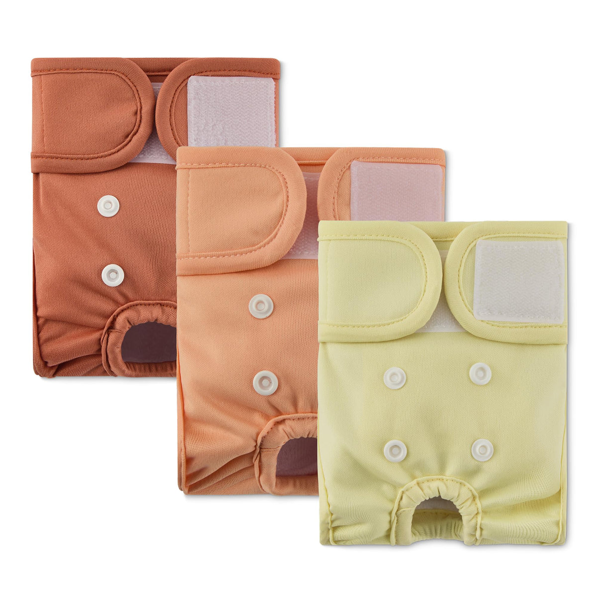 Couches-chien lavables pour femelles XS par Amazon Basics, ensemble de 3, confort et réutilisables.