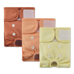 Couches-chien lavables pour femelles XS par Amazon Basics, ensemble de 3, confort et réutilisables.
