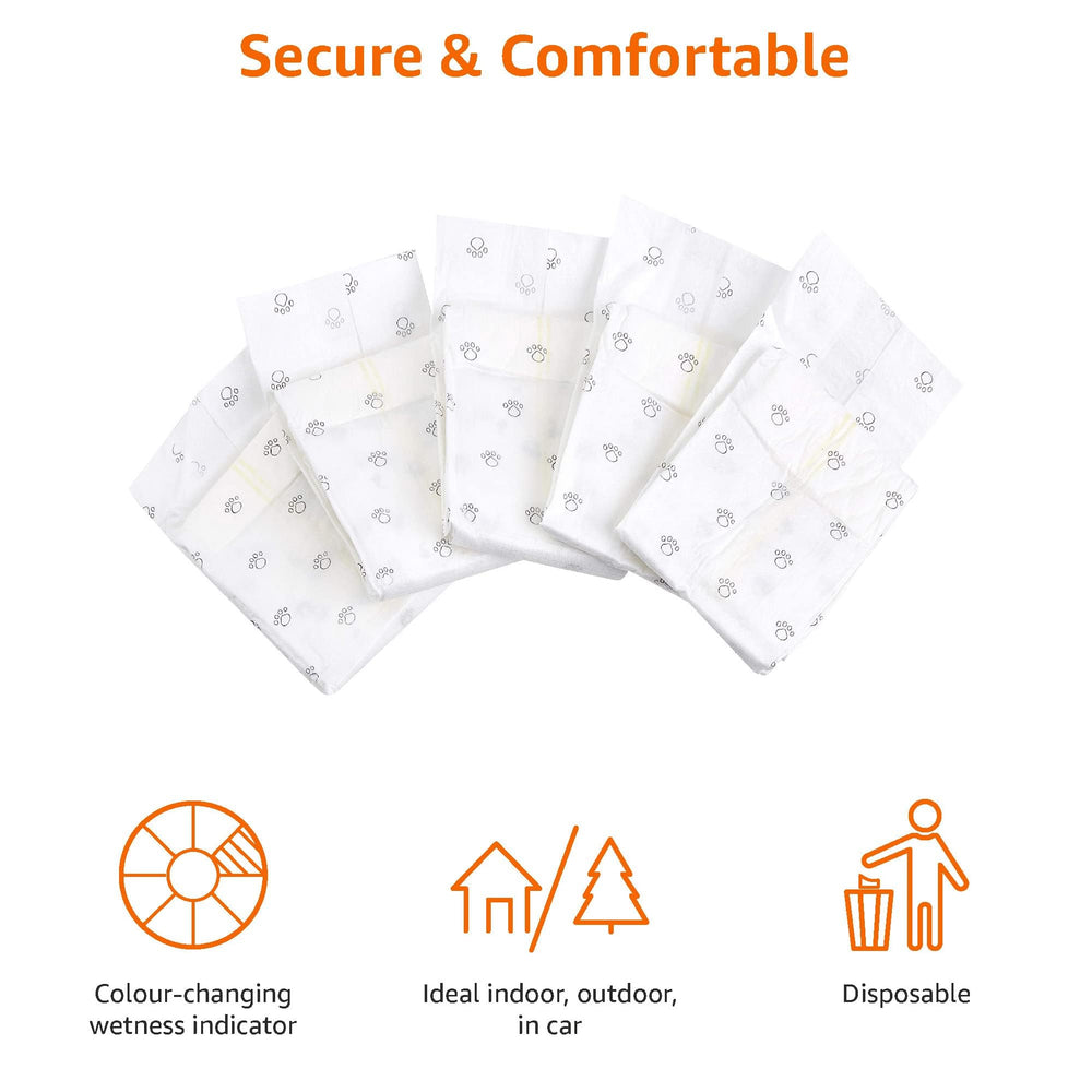 Protection anti-fuite fiable des couches Amazon Basics pour chien mâle grande