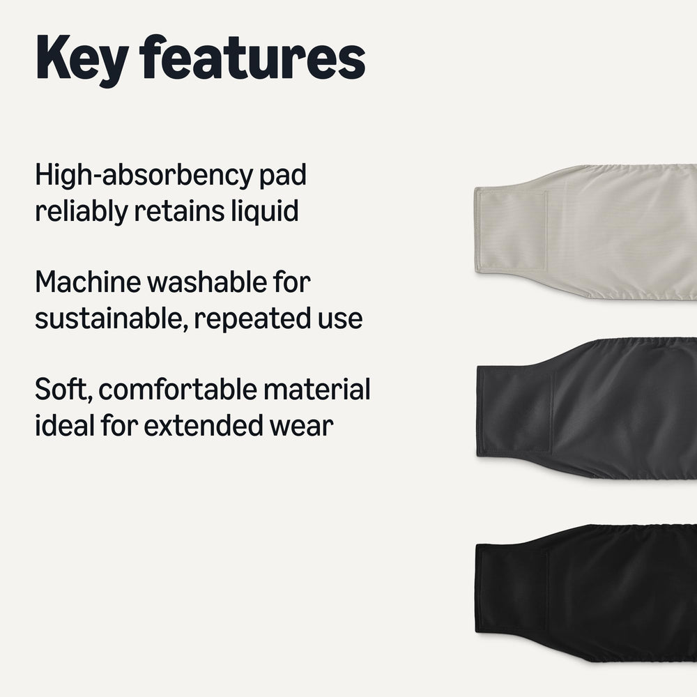 Couches Amazon Basics gris pour chien mâle L, absorption élevée.