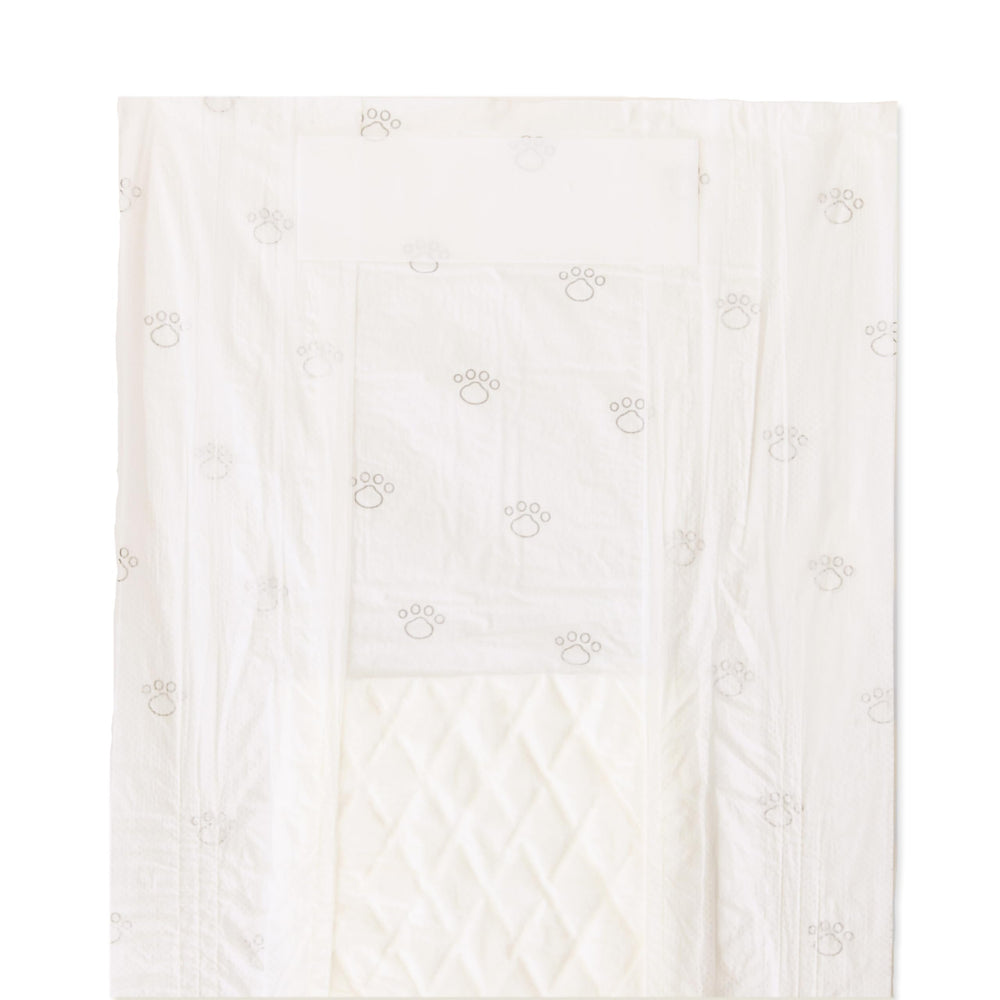 Noyau absorbant amazon-basics offre protection fiable et confort.