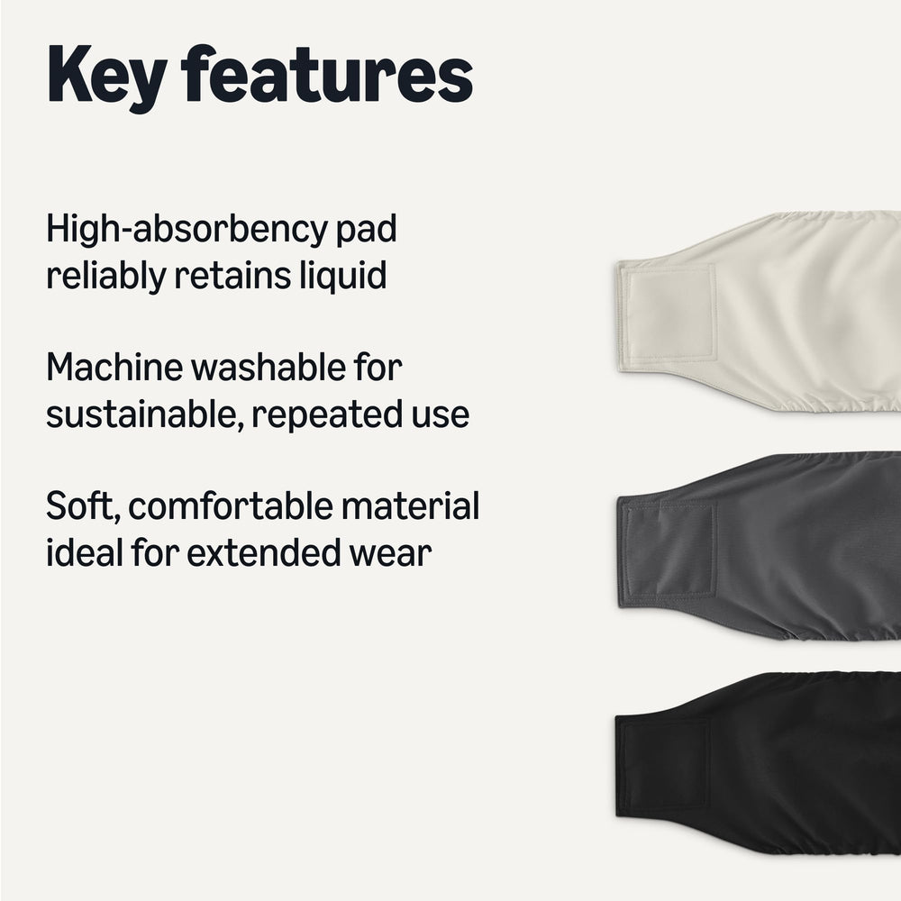 Amazon Basics couches chien réutilisables absorbantes — vue arrière ajustement.