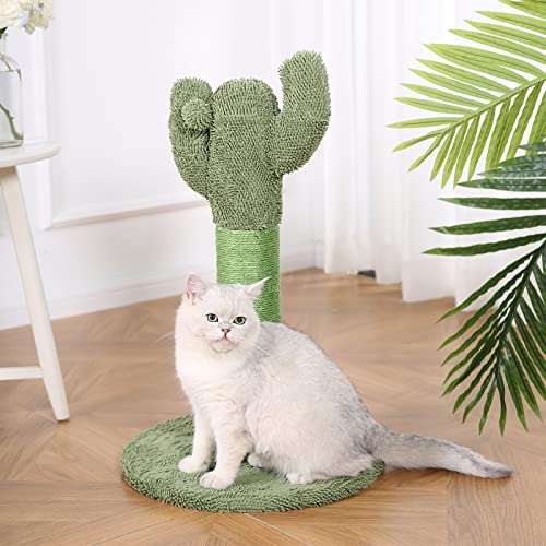 Poteau chat vert Amazon Basics, couleur qui s’intègre à votre intérieur.