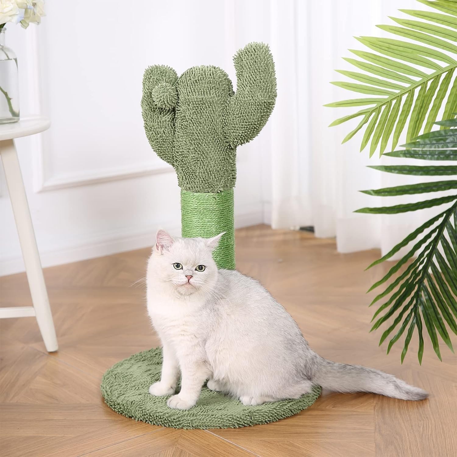 Dimensions du poteau Amazon Basics, hauteur adaptée pour chaton et chat adulte.