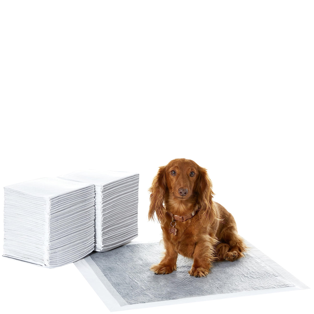 Amazon Basics tapis-pipi 22x22 dans l'emballage prêt à l'emploi pour entraînement.