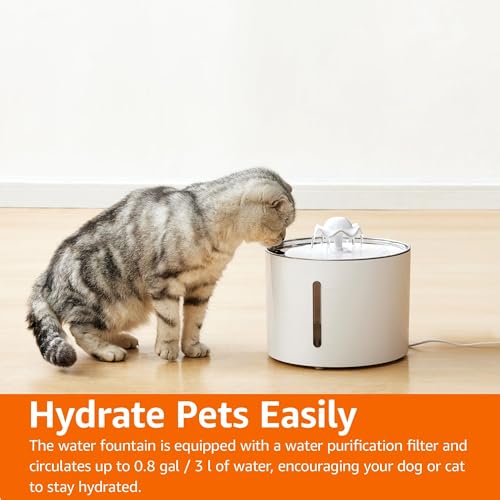 Conception facile à nettoyer de la fontaine Amazon Basics
