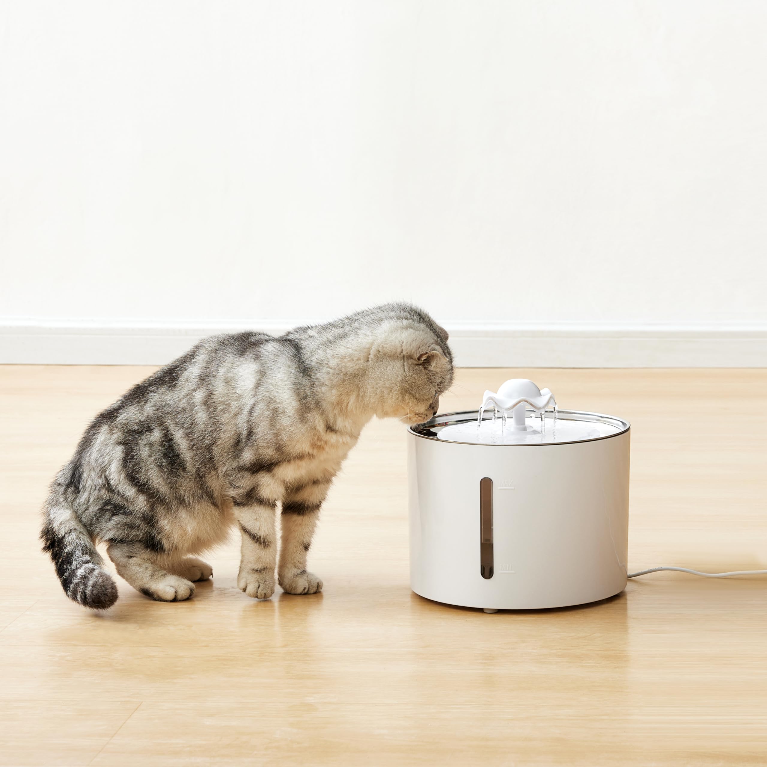 Top en acier inoxydable Amazon Basics pour durabilité et nettoyage facilité