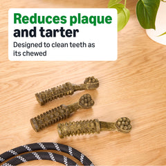 Friandises dentaires Amazon Basics à texture rugueuse favorisant le nettoyage des dents pendant le jeu.