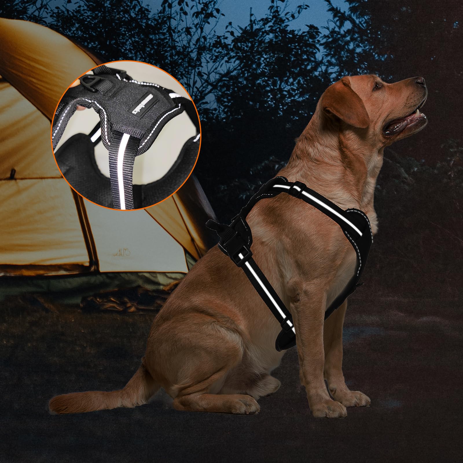 Harnais Amazon Basics confort ergonomique pour chien de grande taille.