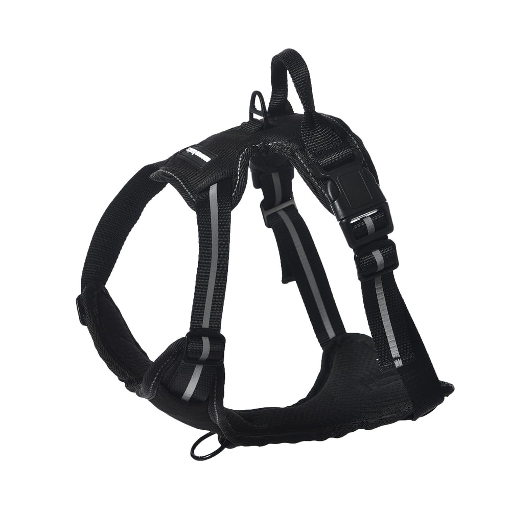 Harnais Amazon Basics sans tir rembourré pour chien, confort et contrôle.
