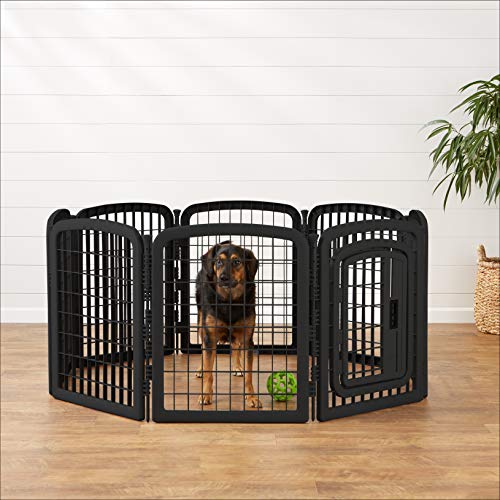 Amazon Basics ideale petites races chiens miniatures