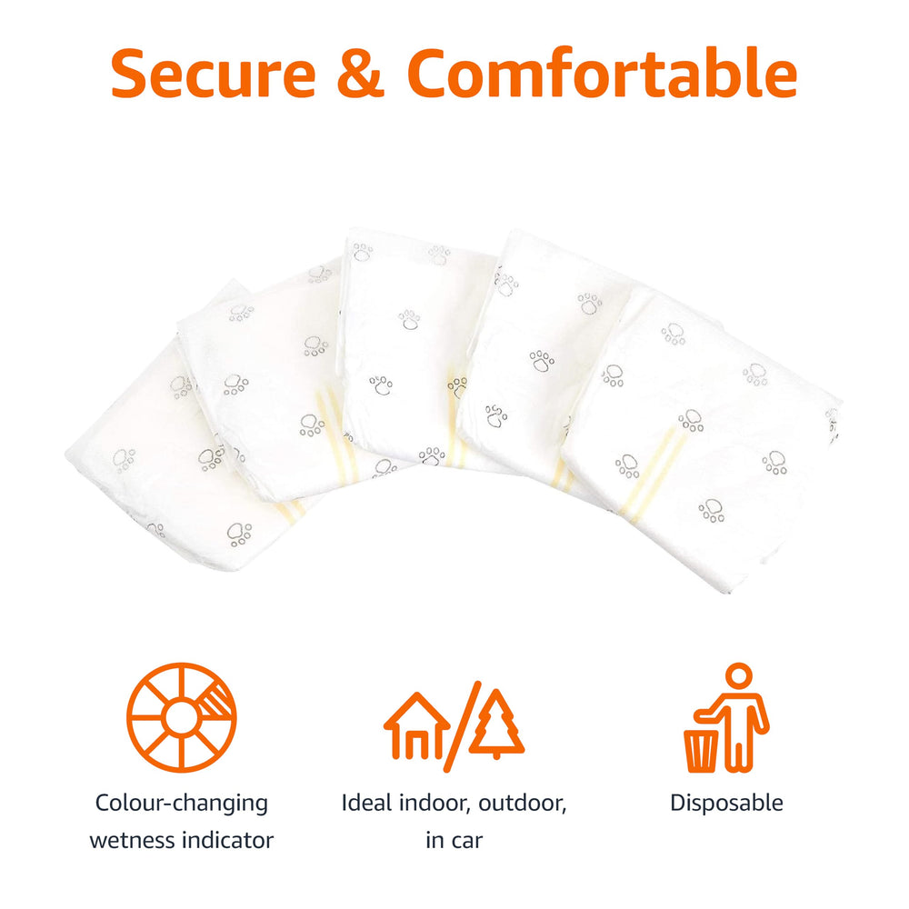 Couches pour chien mâle Amazon Basics, couches respirantes pour plus de confort.