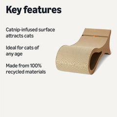 Amazon Basics jouet-boule-interactif-chat: stimulation et divertissement.