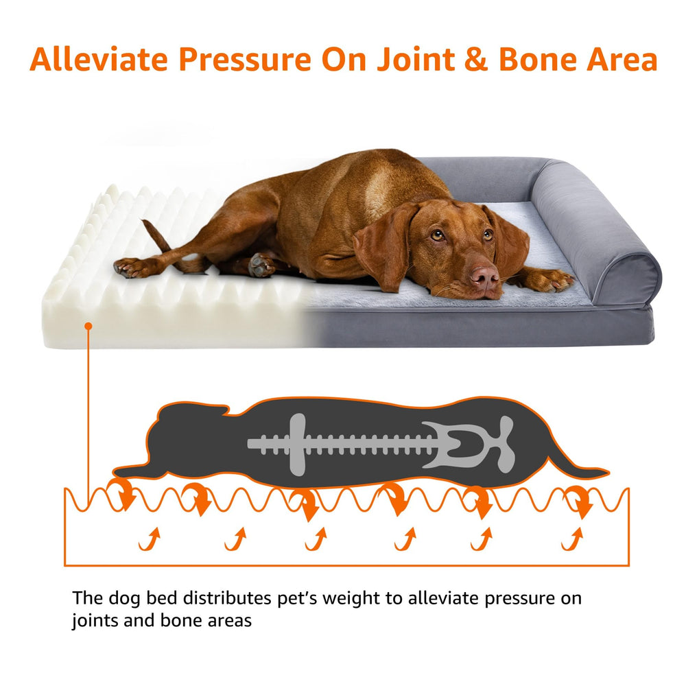 Amazon Basics lit-canapé chien gris, chien détendu sur la surface confortable