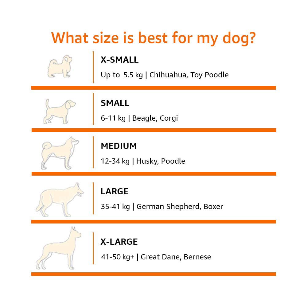 Le lit amazon-basics pour chien se monte facilement avec les outils inclus.