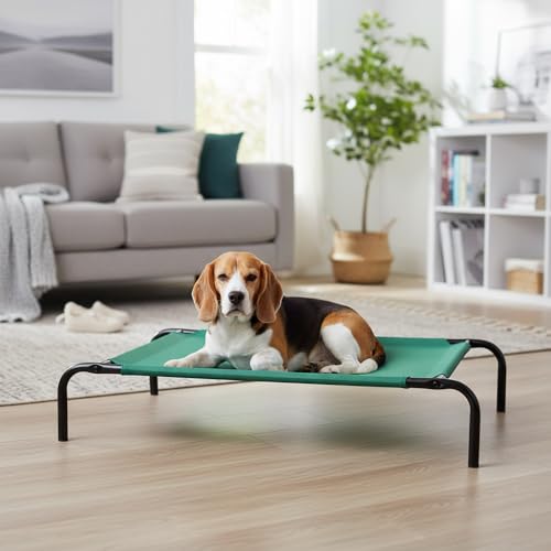 Idéal pour Beagle et Caniche, chiens moyens.