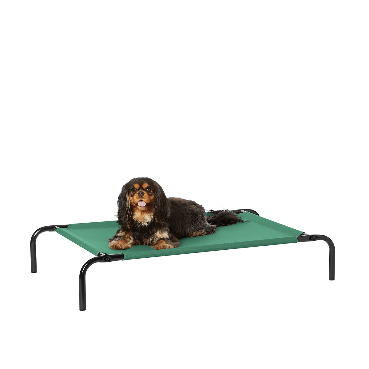 L’amazon-basics-lit-chien affiche un cadre métallique vert et respirant.