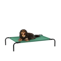 L’amazon-basics-lit-chien affiche un cadre métallique vert et respirant.