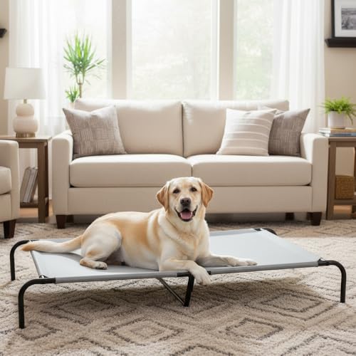 Amazon Basics lit pour chien élevé gris, montage facile avec outil hex fourni.