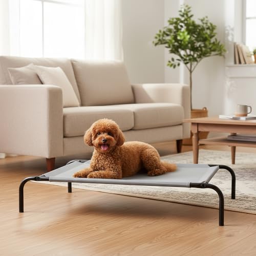 Amazon Basics lit chien élevé gris neutre alliant stabilité et confort.