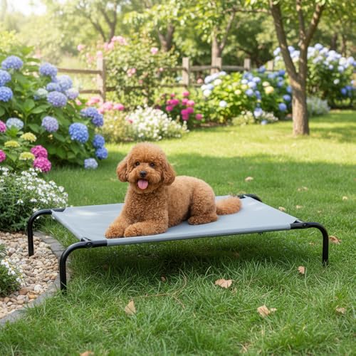 Amazon Basics lit chien élevé montage facile avec vis et outil inclus.