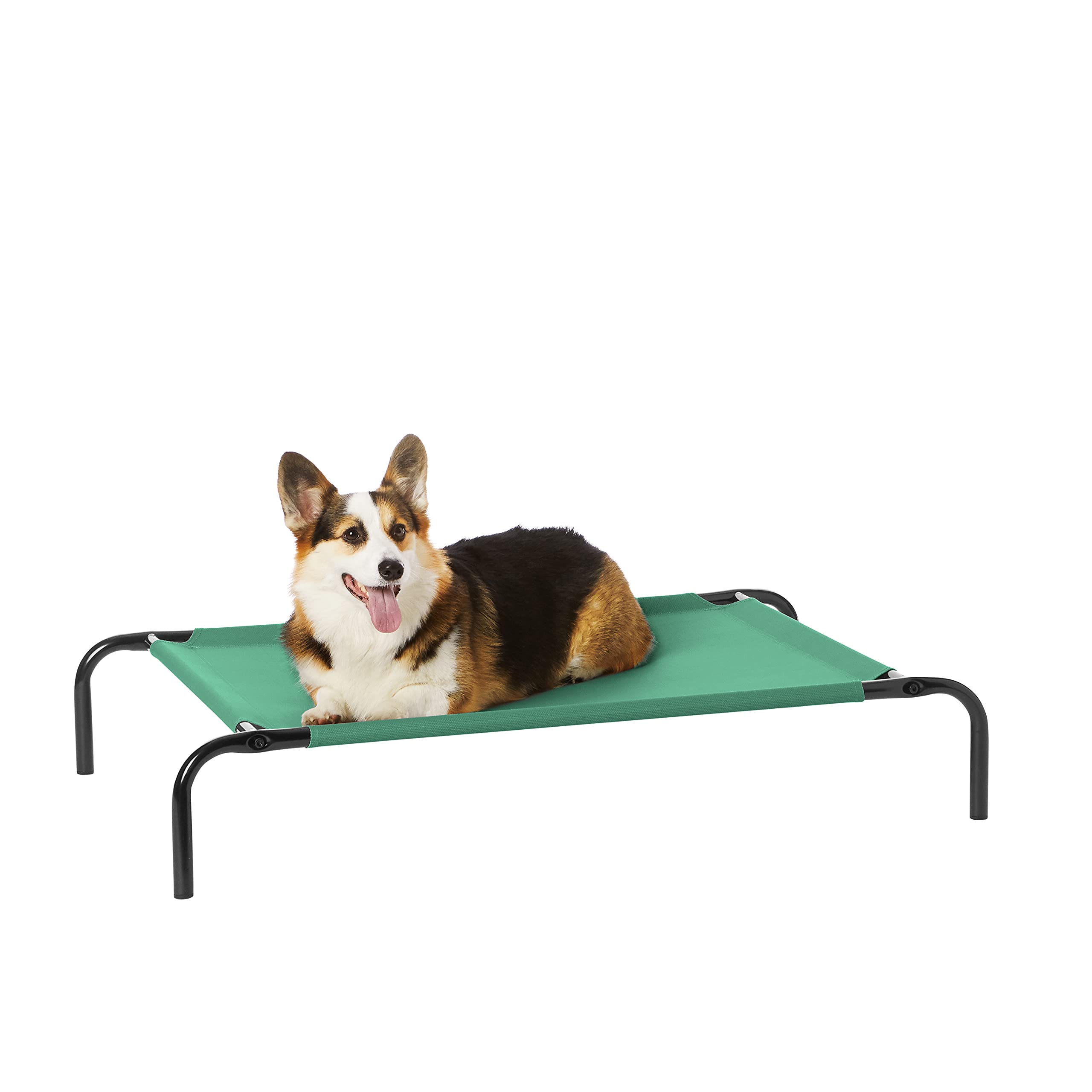 Lit chien surélevé Amazon Basics vert offrant ventilation et confort.