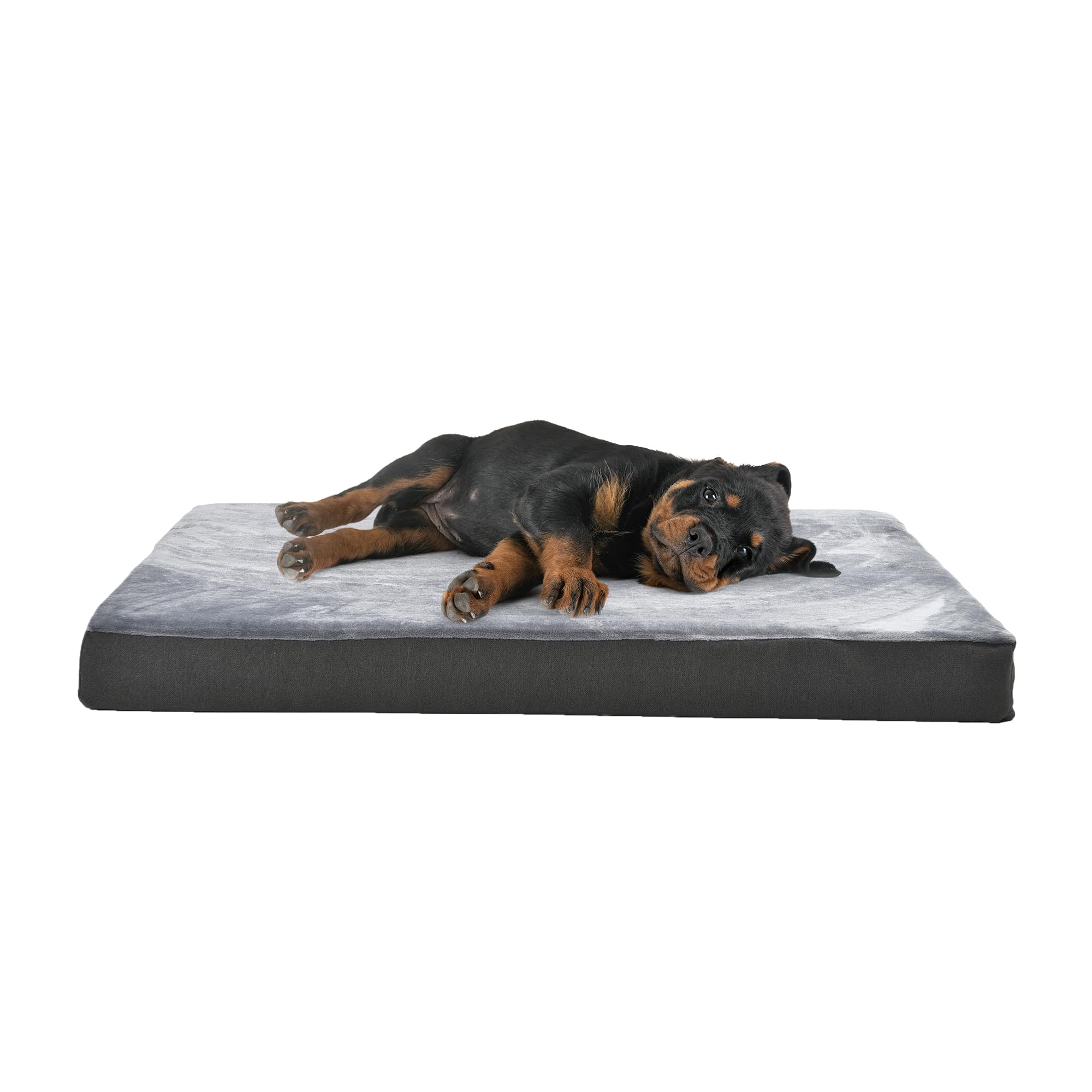 Lit-chien Amazon Basics gel-memoire refroidissant pour soutien confortable jusqu'à 50 lb.
