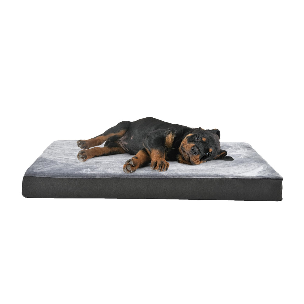 Lit-chien Amazon Basics gel-memoire refroidissant pour soutien confortable jusqu'à 50 lb.