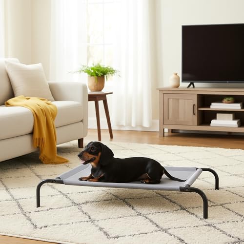 Idéal pour Beagle ou Corgi, lit chien surleve Amazon Basics.