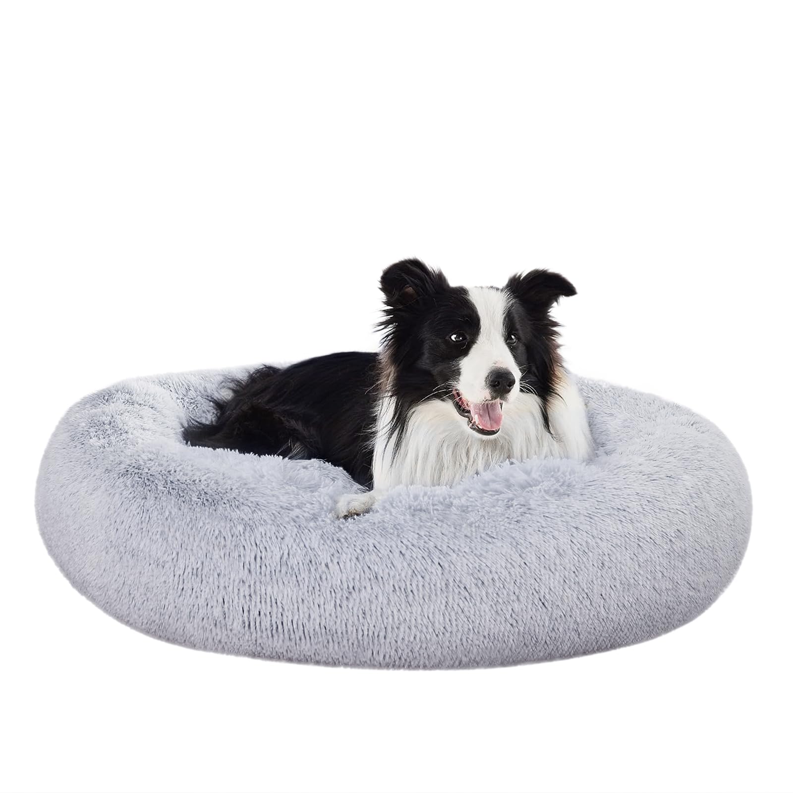 Lit rond 36x36 pouces Amazon Basics idéal pour les chiens qui aiment creuser.