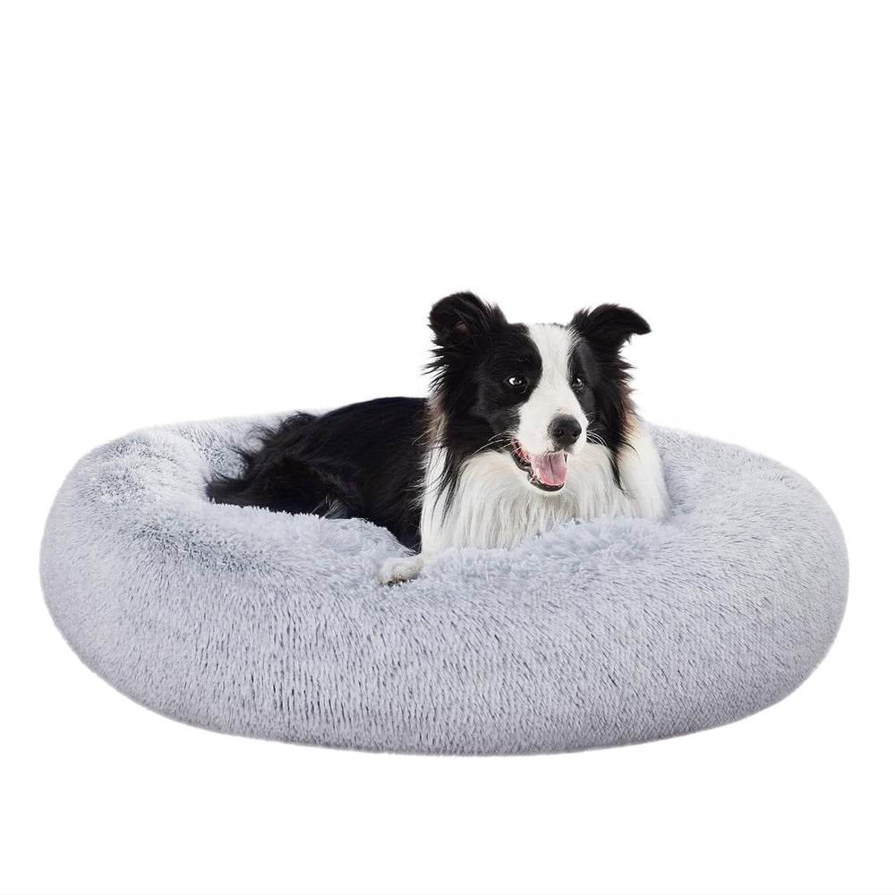 Lit rond 36x36 pouces Amazon Basics idéal pour les chiens qui aiment creuser.