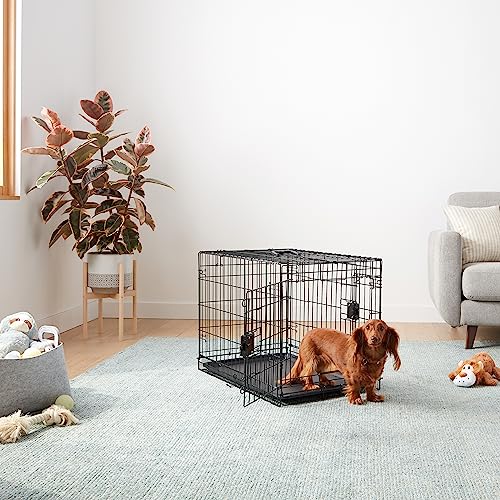 Amazon Basics poignée supérieure, transport pratique de la caisse chien.