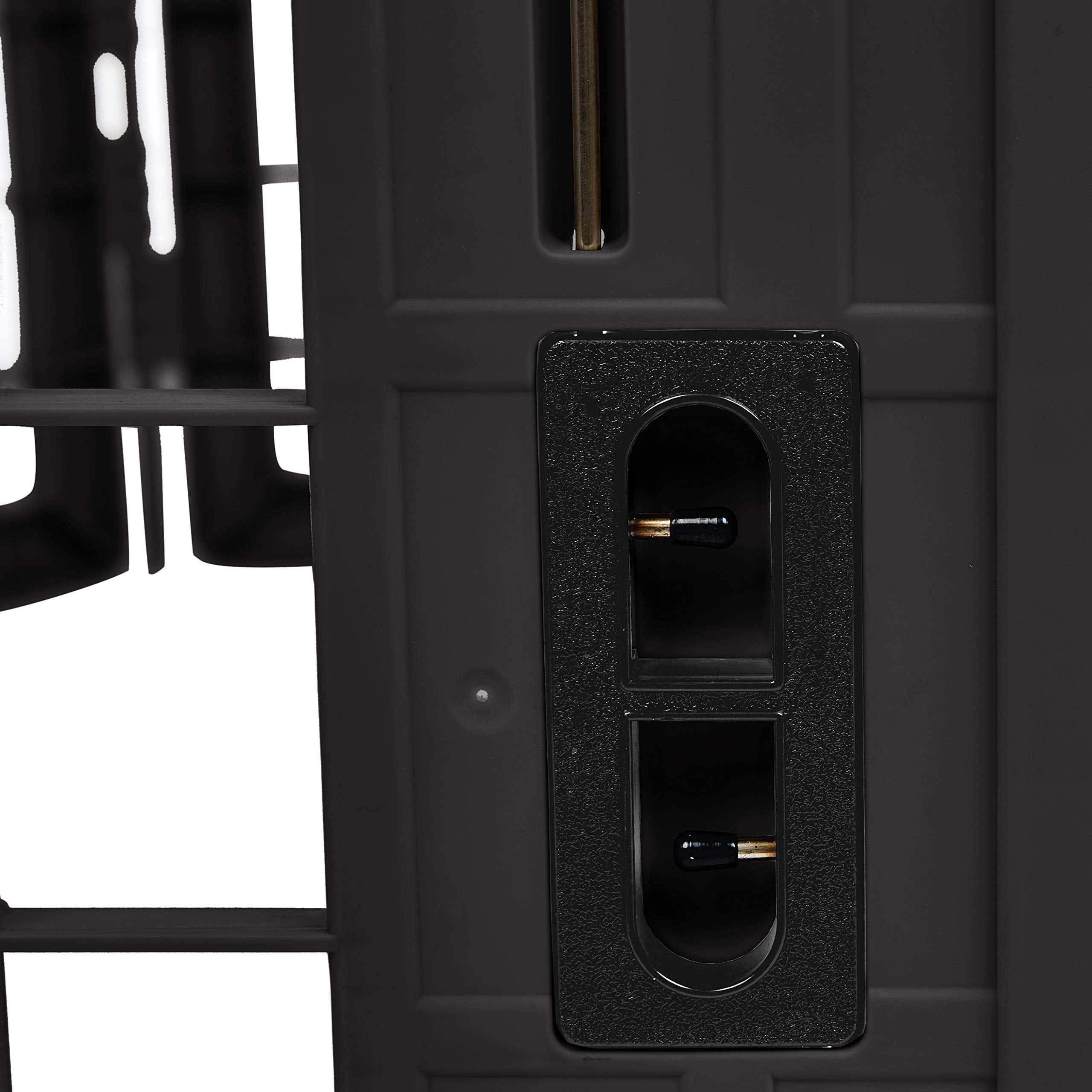 Porte verrouillable Amazon Basics du parc, accès pratique et sécurisé.